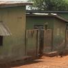 Baboons freely roam a town occupied by people