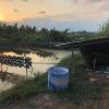 In many of the districts, you can find shrimp ponds like this one