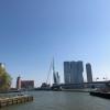 Erasmusbrug (Erasmus Bridge)