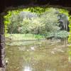 I wandered through the most beautiful park that I have ever seen located at the Serralves Cultural Center; there was a huge pond, farm animals, a forest and plenty of places to duck underneath when the rain inevitably started up again!