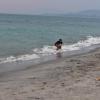 The waves here are only sometimes big enough to surf, so instead lots of people skimboard