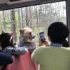The bear was so close to our bus and he was the cutest bear 