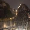 The largest rollercoaster in South Korea that I rode twice