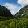 The elevation of the valley is too high for trees to grow, but the ferns love the moist soil in the valley