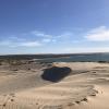 Dunes can protect cities from damage during big storms