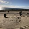 People are using snowboards to slide down the dunes!