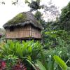 A typical house of someone who lives in the rainforest