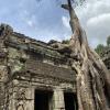 Do you recognize this temple, which was used in the Tomb Raider movies?!
