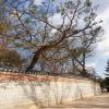 Decorative walls border the palace compound