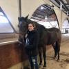 The nice people at Hípica Al-Andalus teach me how to ride these gentle horses properly! 
