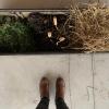  Two weeks ago, we learned about deforestation by doing an experiment...do you know what deforestation is?