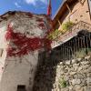 I love how the bright, fuchsia flowers decorated the side of the old building