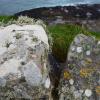 Curious fungi and mosses grew all over the rocks in the meadows, making them nice bright colors