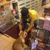 This is a shop owner with his cat. He is blowing the cats nose in this picture! The cat's name is Pasha.