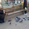 Even in Russia, there are grandmothers (бабушка/babushka) feeding the birds