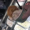 I enjoyed a “tub” of black cherry swirl ice cream at Jannetta's Gelateria... in America, you can order ice cream in a cup, but here, they call it a tub!