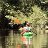 Being in and around the water is always calming--until you kayak next to some alligators!