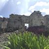 The ruins are so beautiful that apparently even the animals come and take tours... can you spot the dragonfly? 