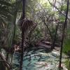 Cenote Azul, found between the cities of Tulum and Playa del Carmen, has many different areas to swim in and even rocks to jump from!