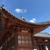 Strolling inside Gyeongbokgung Palace