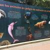 While I was walking around the park, I saw this poster that detailed all the Peruvian animals that are going extinct 