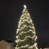 This massive Christmas tree is in the city center, lit up after a large parade and carols 