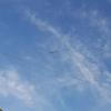 A single glider soaring high above in the blue sky