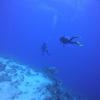 My friend Kelsey swimming in the blue hole (maximum depth 100 meters)