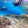 Swimming through the coral reef