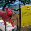 Gachuza the cat