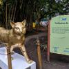 Do you like this golden kitty?