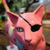 This is pirate kitty is my favorite!
