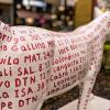 This sculpture shows where other animals are referenced in the bible, but there is no cat reference!