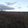 Again, so much nature. It's so important to me.