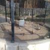 I imagine this cage keeps them safe from the roving cats.