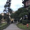 This is a view of the courtyard in front of the building housing the educational studies program, which is on the right.