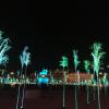 There were also different exhibits with lights projected onto different objects. The ones here were meant to represent fields of grain.