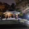 Even at Seoul Tower they try to add in a piece of local culture