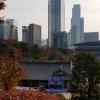 The temple is surrounded by the city