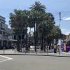 Palm trees are on the beach but also in the town center 