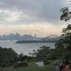 You can see the Opera House and the Harbour Bridge from the zoo!