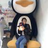 The Penguin Village is a cool area to explore!