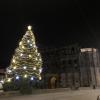 This massive Christmas tree is set up in front of Porta Nigra