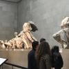 These are statues from the Parthenon in Greece