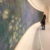 Checking out Claude Monet's Water Lilies at Musee d'Orsay