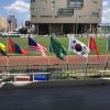 Some of the flags of the countries competing