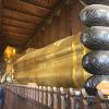 Wat Pho hosts the largest reclining Buddha in Thailand, which is about 150 feet long and covered in gold leaf