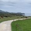 Horses near the bufones