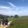 Walking through corn fields 