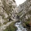 "Foces" is the Asturian word for canyon: this canyon was, for me, the main attraction of the trail